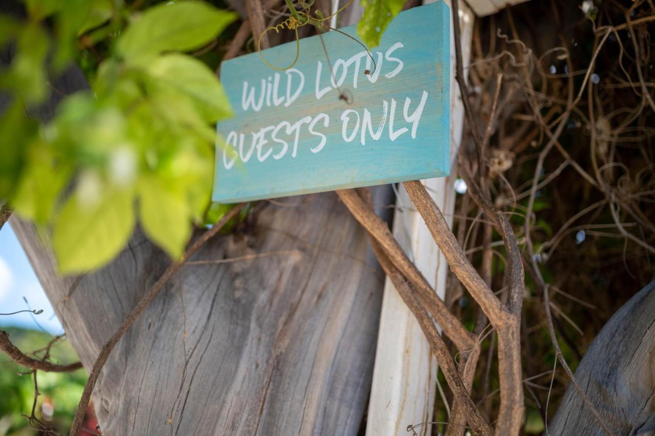 Hotel Wild Lotus Glamping Bolands Exterior foto
